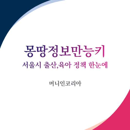 몽땅정보만능키 서울시 출산, 육아 정책 한눈에